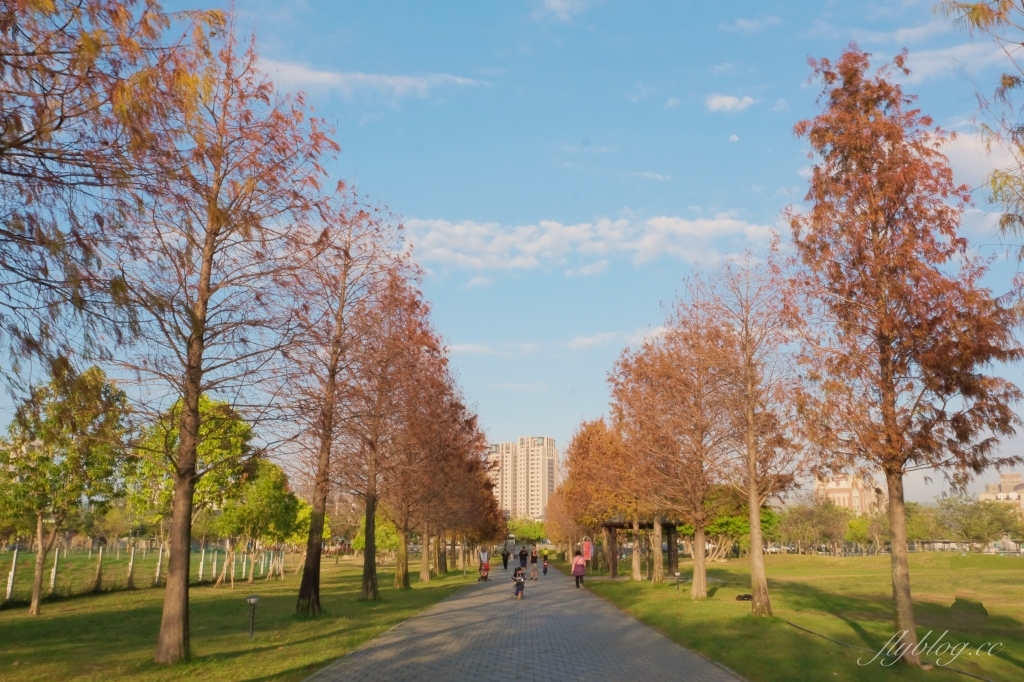 台中北屯｜南興公園．米奇樹IG打卡新亮點！北屯萬坪公園，浪漫落羽松大道 @飛天璇的口袋