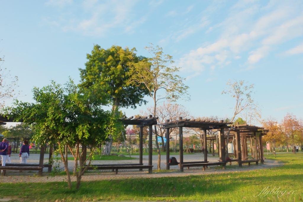 台中北屯｜南興公園．米奇樹IG打卡新亮點！北屯萬坪公園，浪漫落羽松大道 @飛天璇的口袋