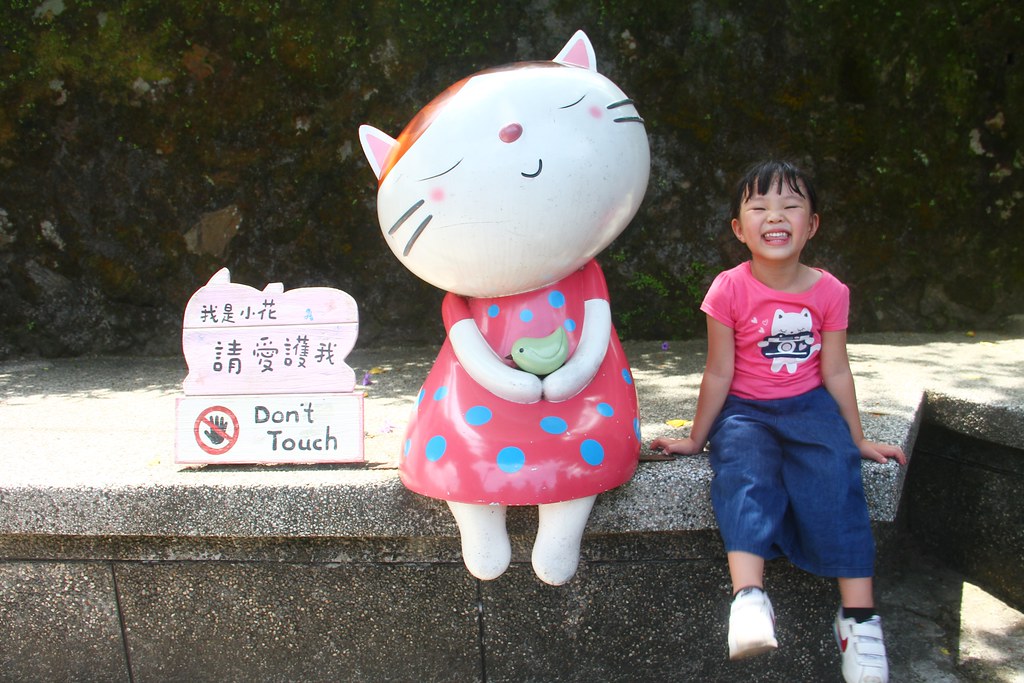 新北瑞芳｜猴硐貓村一日遊，CNN推薦全球六大賞貓景點，漫步可愛的貓咪小鎮 @飛天璇的口袋