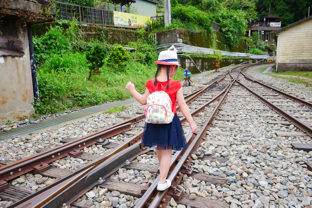 嘉義竹崎｜奮起湖一日遊，沒有湖的奮起湖老街，一日遊路線美食景點這樣玩 @飛天璇的口袋