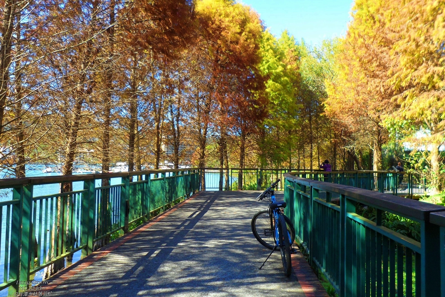 南投魚池｜向山遊客中心．日月潭必訪的水社碼頭，CNN評選世界最美的自由車道之一 @飛天璇的口袋