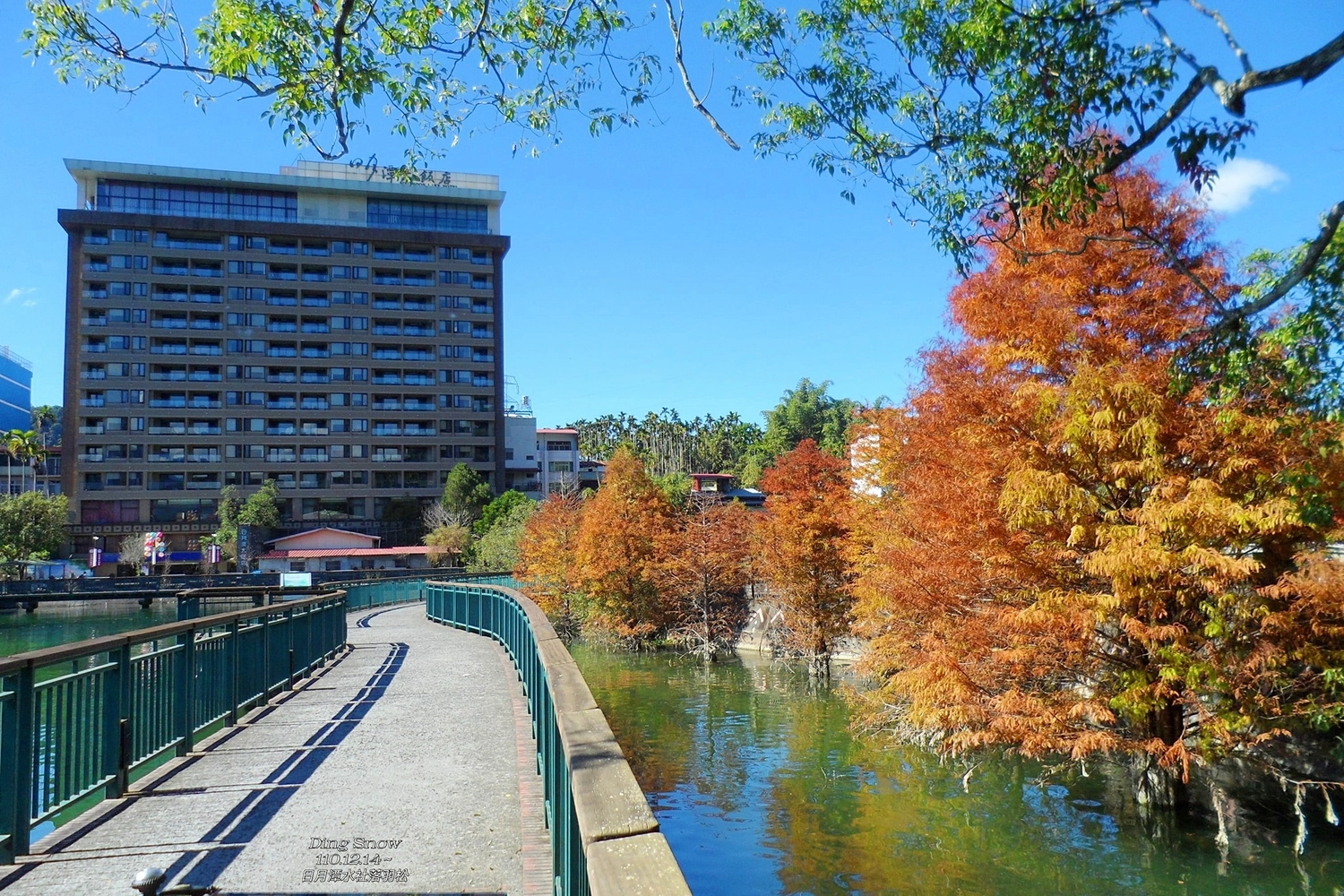 南投魚池｜向山遊客中心．日月潭必訪的水社碼頭，CNN評選世界最美的自由車道之一 @飛天璇的口袋