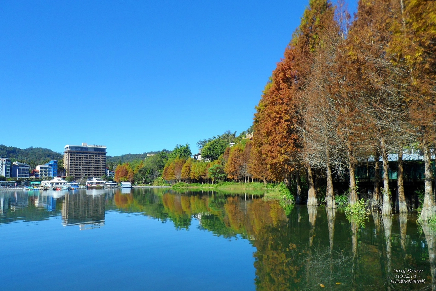 南投魚池｜向山遊客中心．日月潭必訪的水社碼頭，CNN評選世界最美的自由車道之一 @飛天璇的口袋