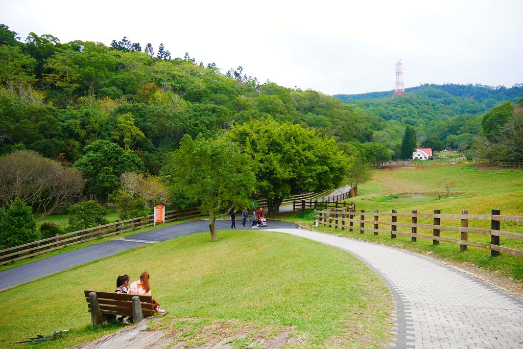 飛牛牧場｜青青大草原、餵牛牛體驗、美食和住宿、親子DIY，苗栗一日遊推薦行程！ @飛天璇的口袋