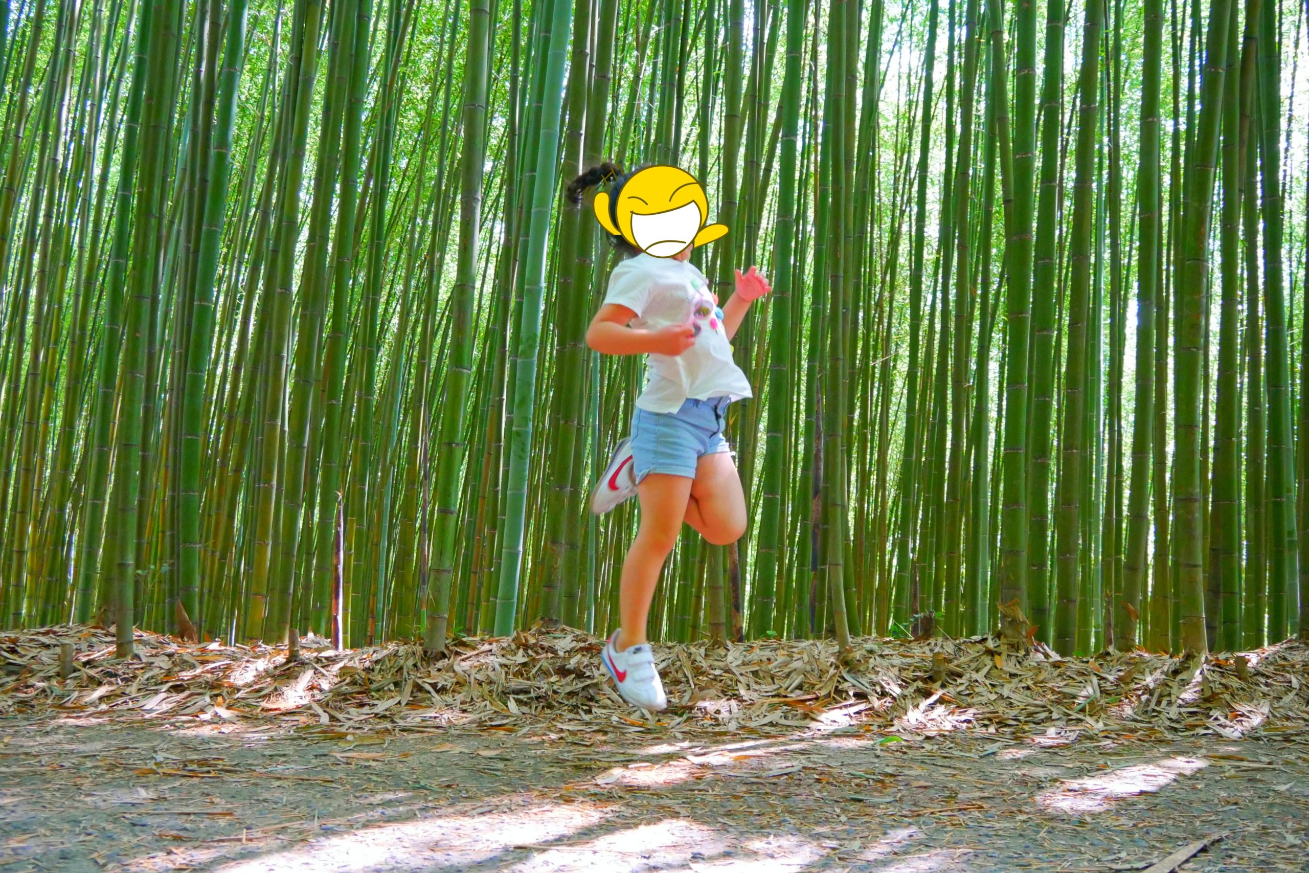 苗栗旅遊|2023苗栗旅遊景點|苗栗一日遊行程推薦,景觀餐廳、自然美景、四季花卉、親子旅遊 @飛天璇的口袋 苗栗旅遊|2023苗栗旅遊景點|苗栗一日遊行程推薦,景觀餐廳、自然美景、四季花卉、親子旅遊 @飛天璇的口袋