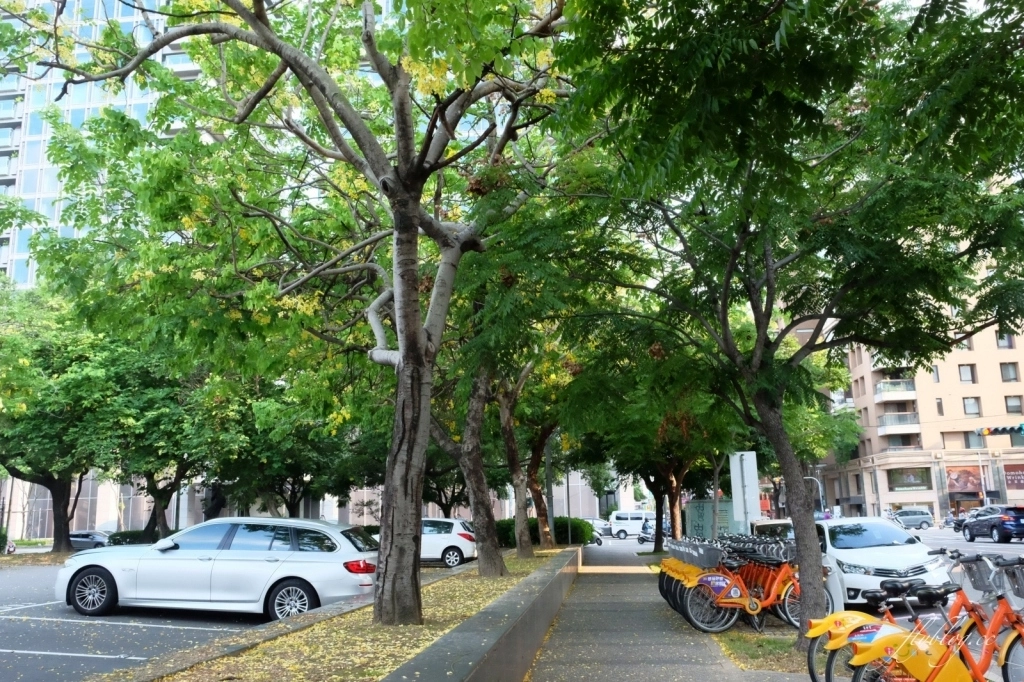 台中西區｜斐得蔬食 Verdure Restaurant．台中超質感蔬食餐廳，美術館旁美食餐廳 @飛天璇的口袋