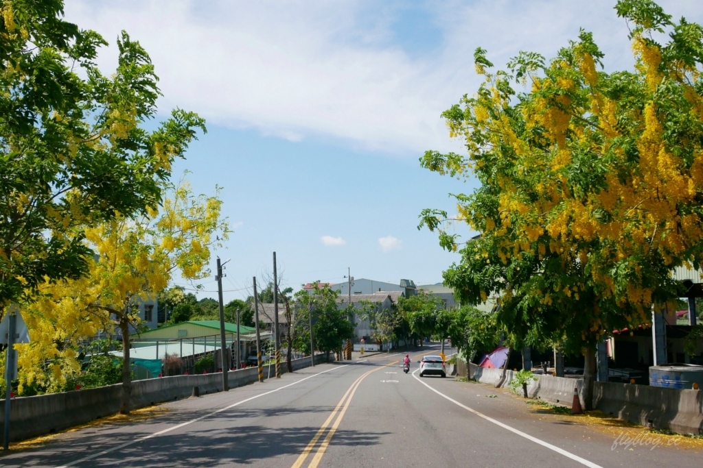 嘉義六腳｜蒜頭生態公園：超美紫色千屈菜花海，IG最新熱門打卡景點 @飛天璇的口袋
