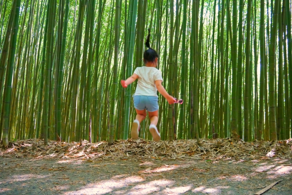 【苗栗泰安】烏嘎彥竹林秘境：台版京都嵐山竹林，IG網美拍照熱門景點 @飛天璇的口袋