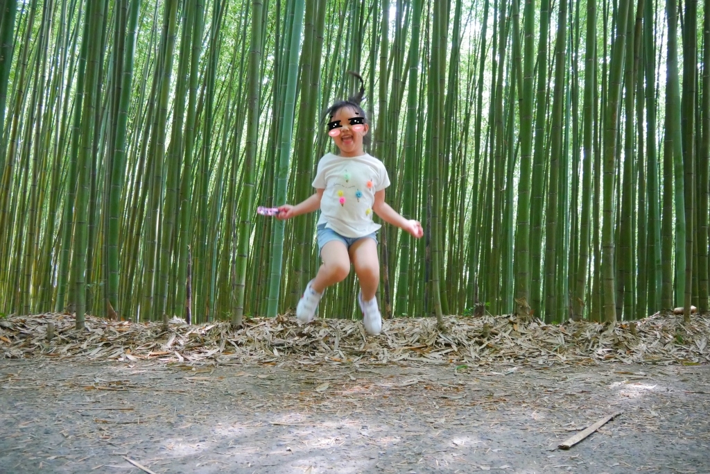 【苗栗泰安】烏嘎彥竹林秘境：台版京都嵐山竹林，IG網美拍照熱門景點 @飛天璇的口袋