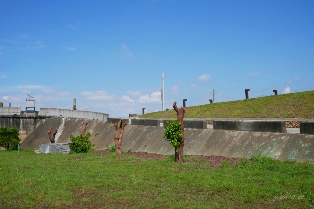 嘉義六腳｜蒜頭生態公園：超美紫色千屈菜花海，IG最新熱門打卡景點 @飛天璇的口袋