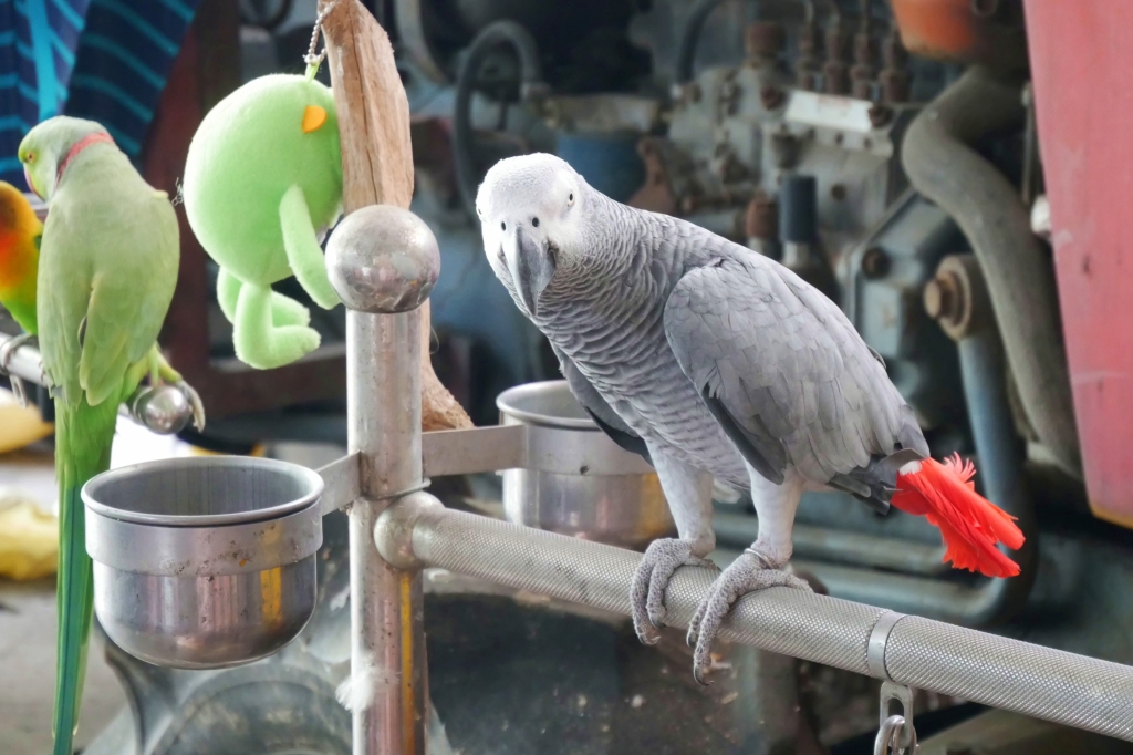 台中南屯｜田寮農莊，鬧中取靜的田園景觀，品嚐總舖師的手路菜 @飛天璇的口袋