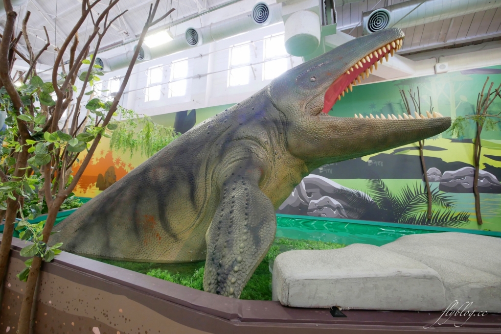 侏羅紀X恐龍水世界：台中這個夏天就瘋恐龍，五大必玩設施千萬別錯過！ @飛天璇的口袋