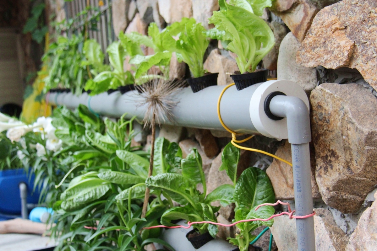 【馬祖南竿】蝦寮食堂：Google評價4.6顆星，馬祖南竿必吃美食推薦 @飛天璇的口袋