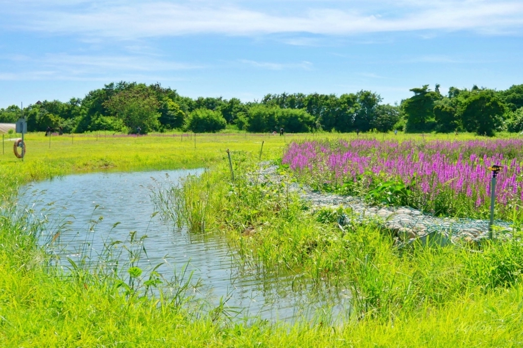 嘉義旅遊｜2024嘉義旅遊景點．嘉義40+景點推薦，嘉義一日遊行程推薦 @飛天璇的口袋