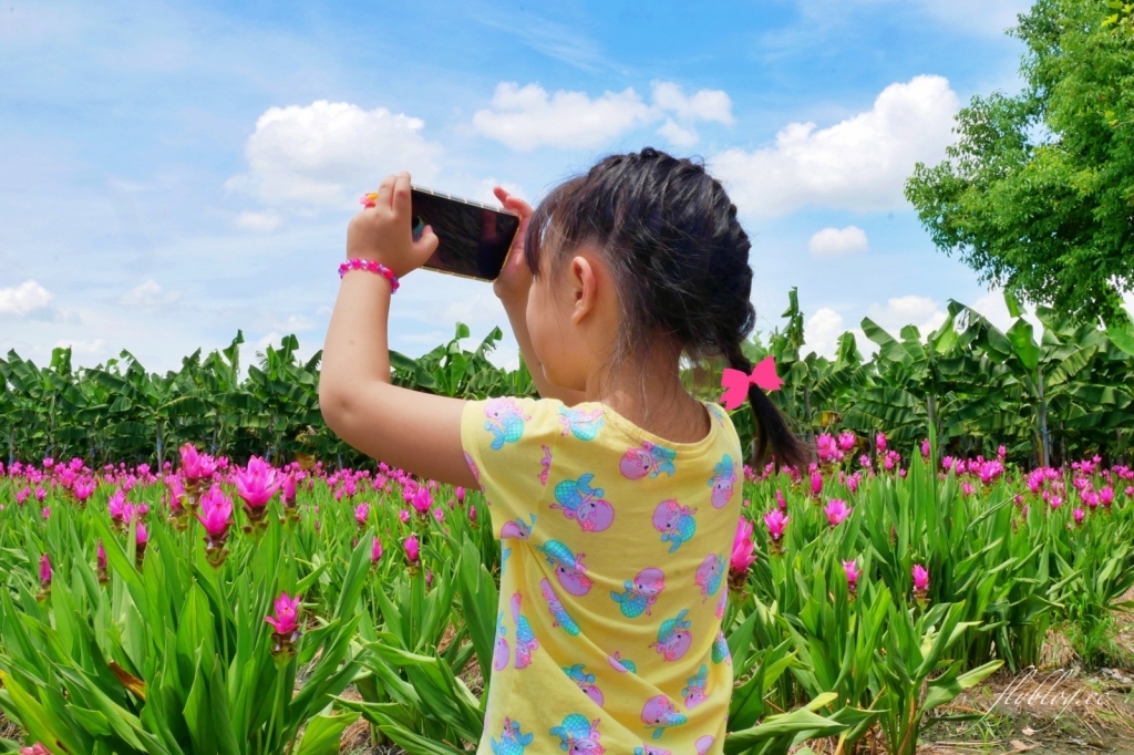 2020溪州x田中薑荷花：粉紅一片的泰國鬱金香，暑假IG粉紅風暴即將開始 @飛天璇的口袋