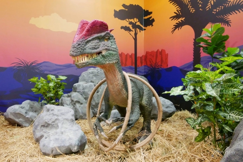 侏羅紀X恐龍水世界：台中這個夏天就瘋恐龍，五大必玩設施千萬別錯過！ @飛天璇的口袋