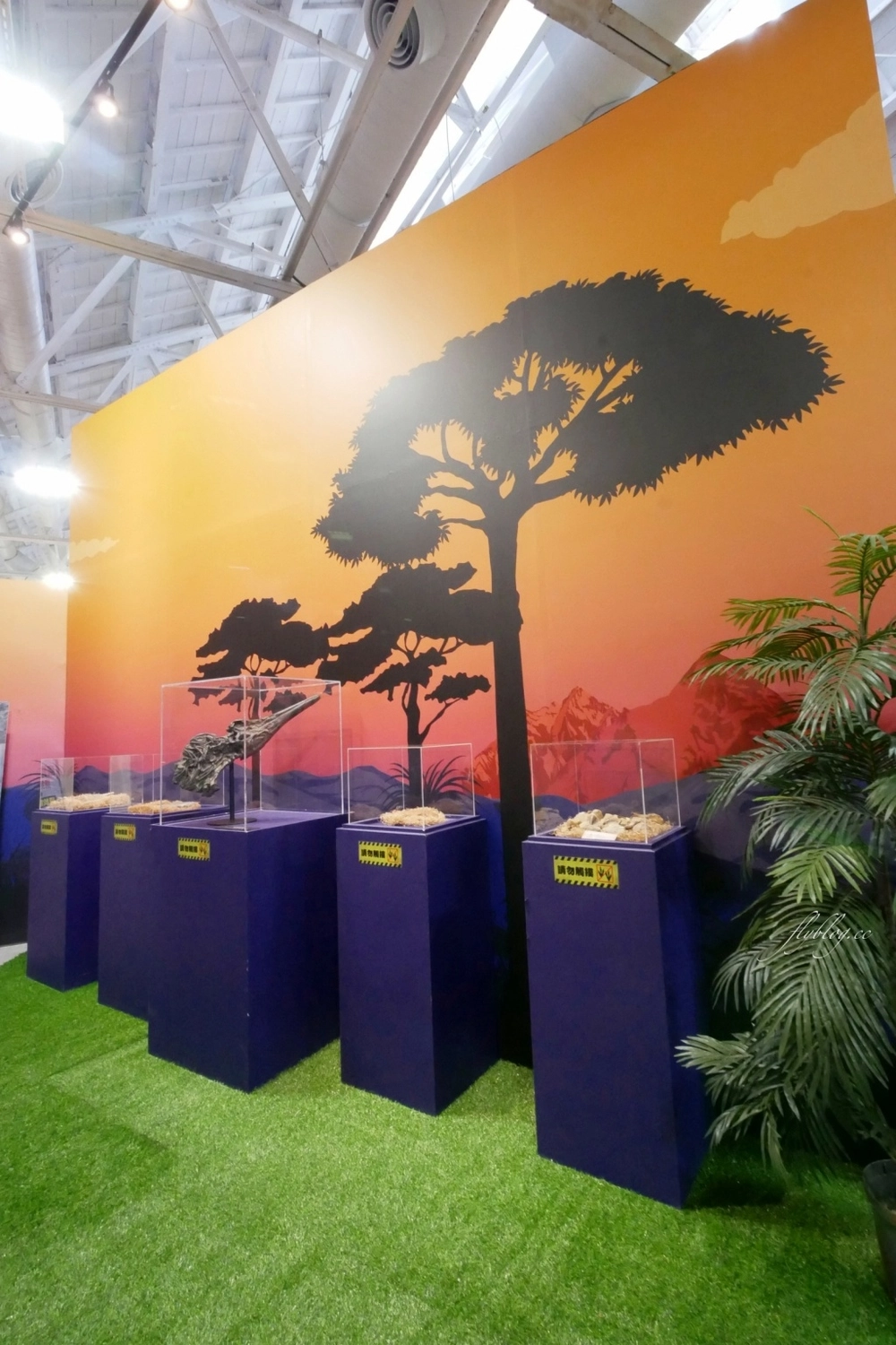 侏羅紀X恐龍水世界：台中這個夏天就瘋恐龍，五大必玩設施千萬別錯過！ @飛天璇的口袋