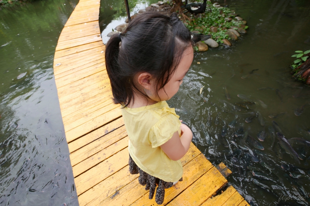 【台中沙鹿】人間食解，沙鹿庭園水池生態景觀餐廳，復古味十足的人間食解 @飛天璇的口袋