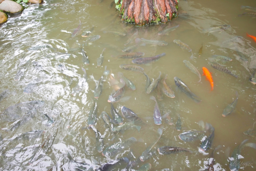 【台中沙鹿】人間食解，沙鹿庭園水池生態景觀餐廳，復古味十足的人間食解 @飛天璇的口袋