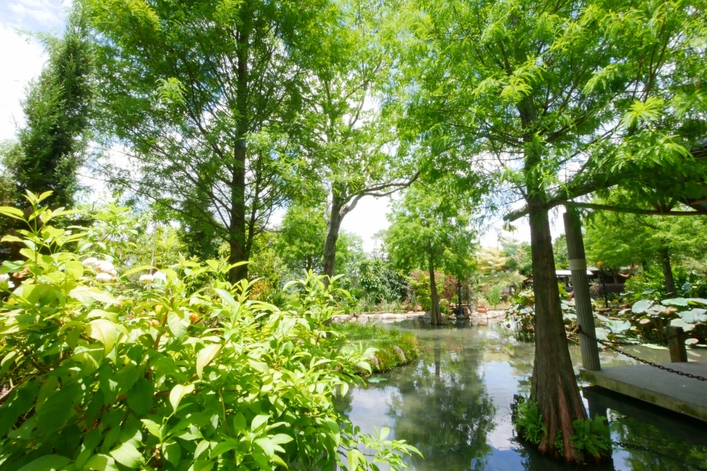 台中南屯｜田寮農莊，鬧中取靜的田園景觀，品嚐總舖師的手路菜 @飛天璇的口袋