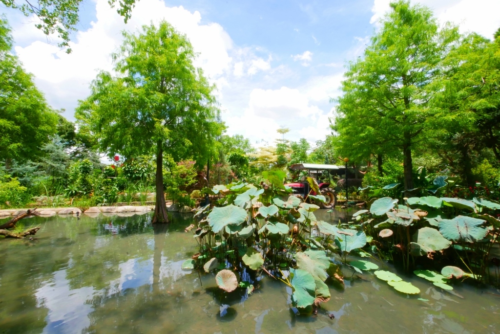 台中南屯｜田寮農莊，鬧中取靜的田園景觀，品嚐總舖師的手路菜 @飛天璇的口袋