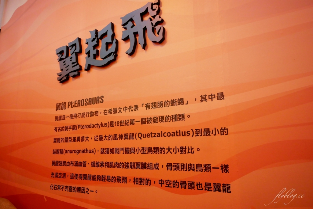 侏羅紀X恐龍水世界：台中這個夏天就瘋恐龍，五大必玩設施千萬別錯過！ @飛天璇的口袋