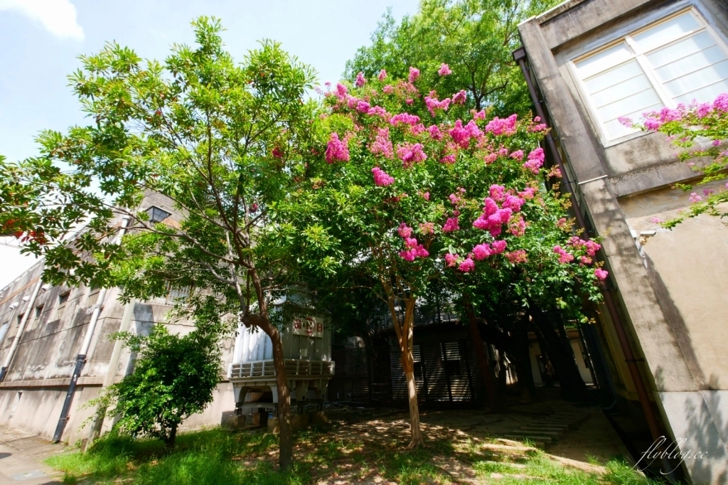 侏羅紀X恐龍水世界：台中這個夏天就瘋恐龍，五大必玩設施千萬別錯過！ @飛天璇的口袋
