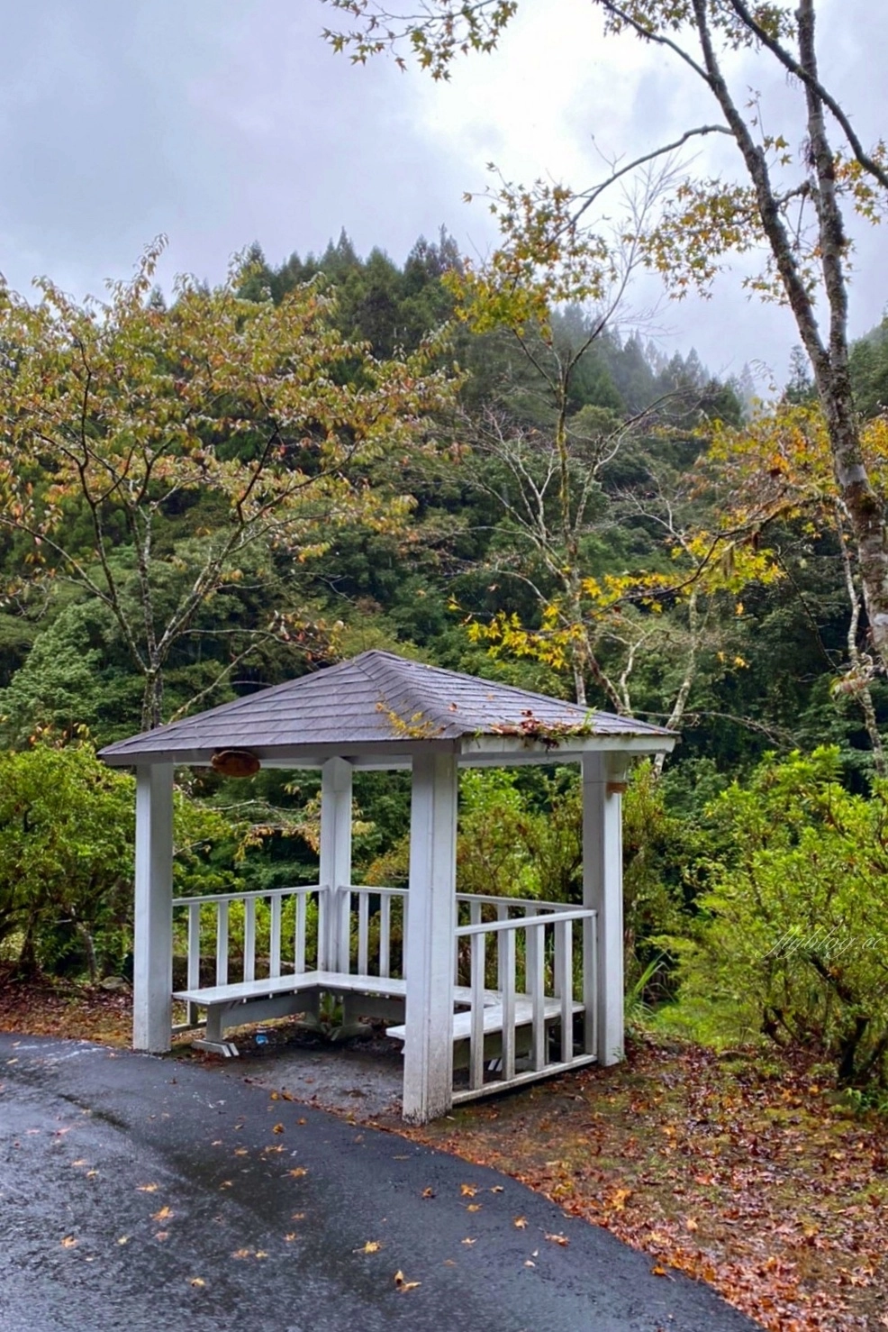 杉林溪森林生態渡假園區｜海拔1800公尺的山林美景，欣賞大自然的鬼斧神工 @飛天璇的口袋