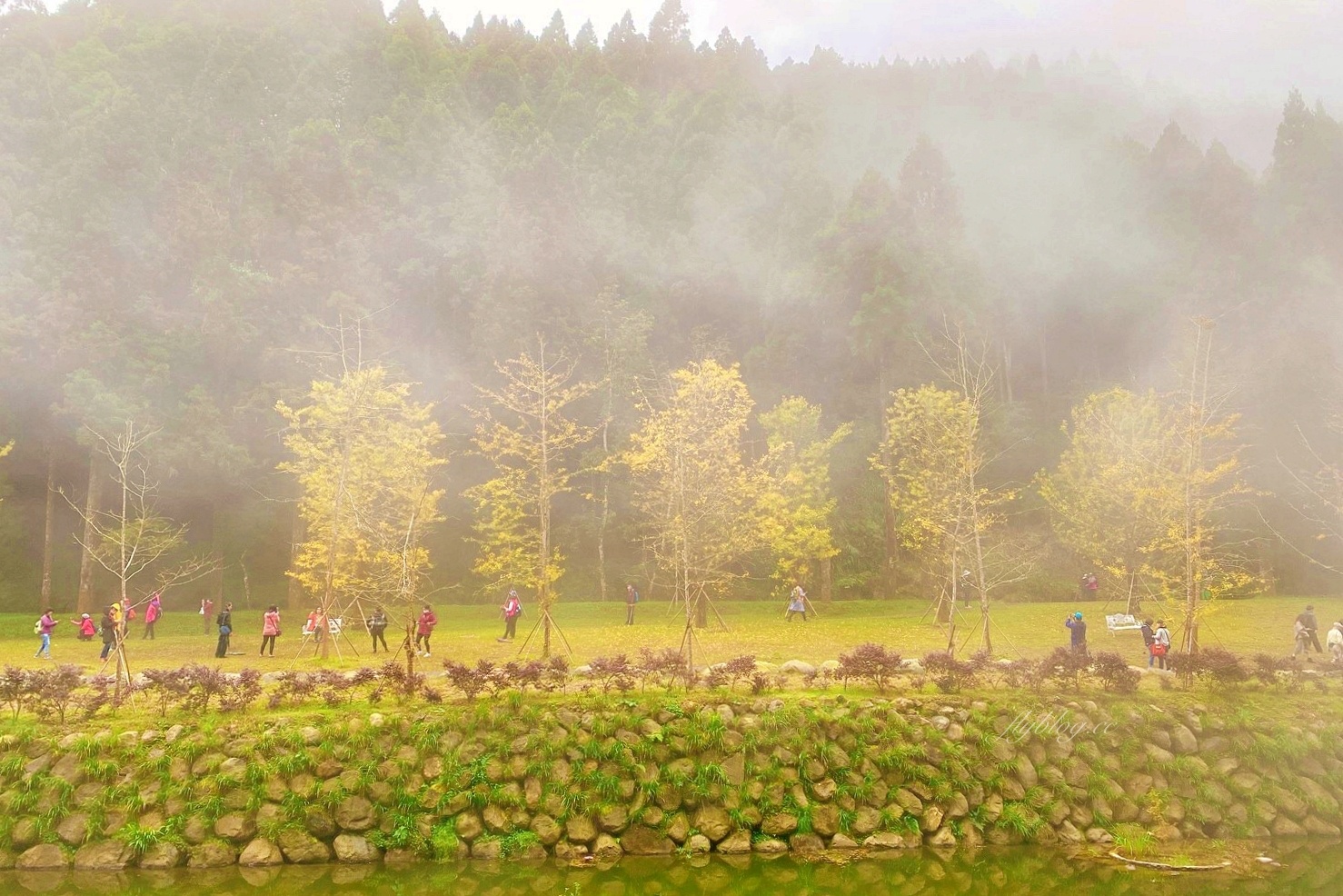 杉林溪森林生態渡假園區｜海拔1800公尺的山林美景，欣賞大自然的鬼斧神工 @飛天璇的口袋