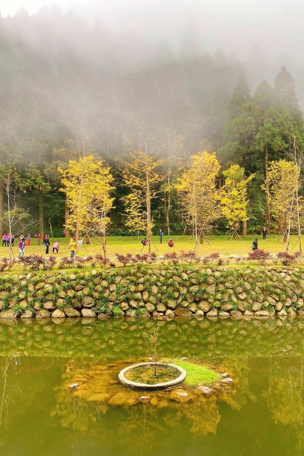 杉林溪森林生態渡假園區｜海拔1800公尺的山林美景，欣賞大自然的鬼斧神工 @飛天璇的口袋