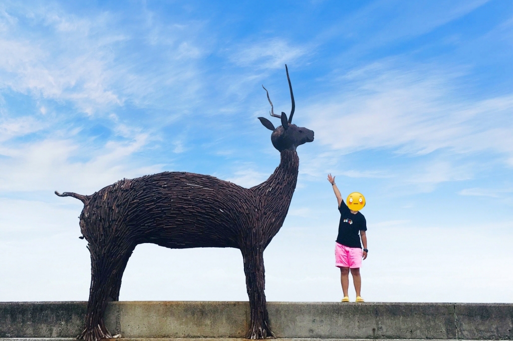 花東旅遊｜花東3天2夜行程．行程規劃 x 旅遊景點 x 飯店住宿 x 小吃美食 x IG打卡 @飛天璇的口袋