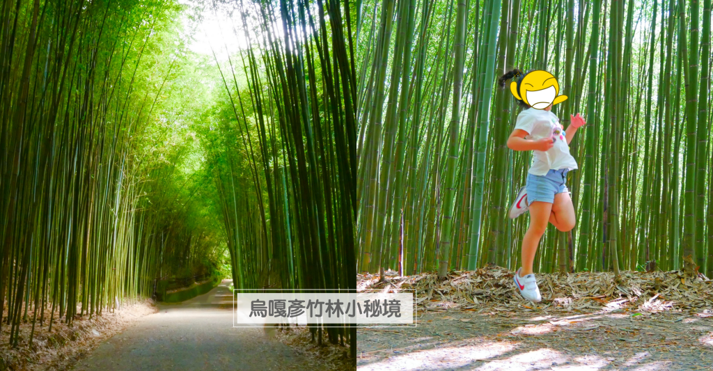 【苗栗泰安】烏嘎彥竹林秘境：台版京都嵐山竹林，IG網美拍照熱門景點 @飛天璇的口袋