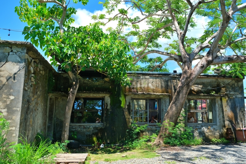屏東恆春｜樹夏飲事，老鳳凰樹下的廢墟改建咖啡館，Big 7 Travel選為台灣最棒25間咖啡廳之一 @飛天璇的口袋