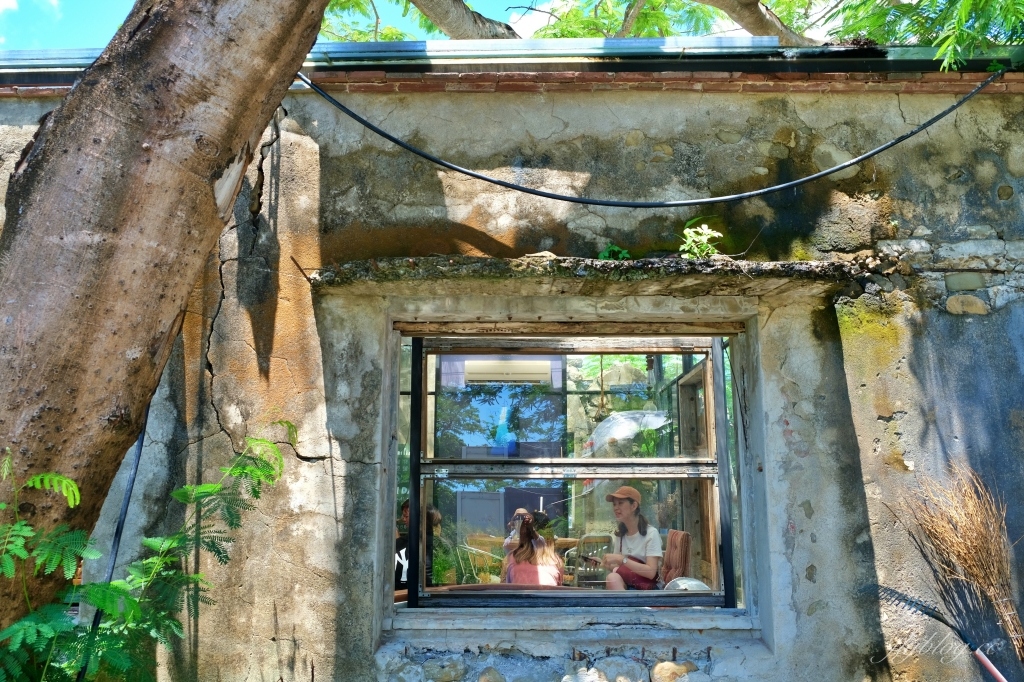 屏東恆春｜樹夏飲事，老鳳凰樹下的廢墟改建咖啡館，Big 7 Travel選為台灣最棒25間咖啡廳之一 @飛天璇的口袋