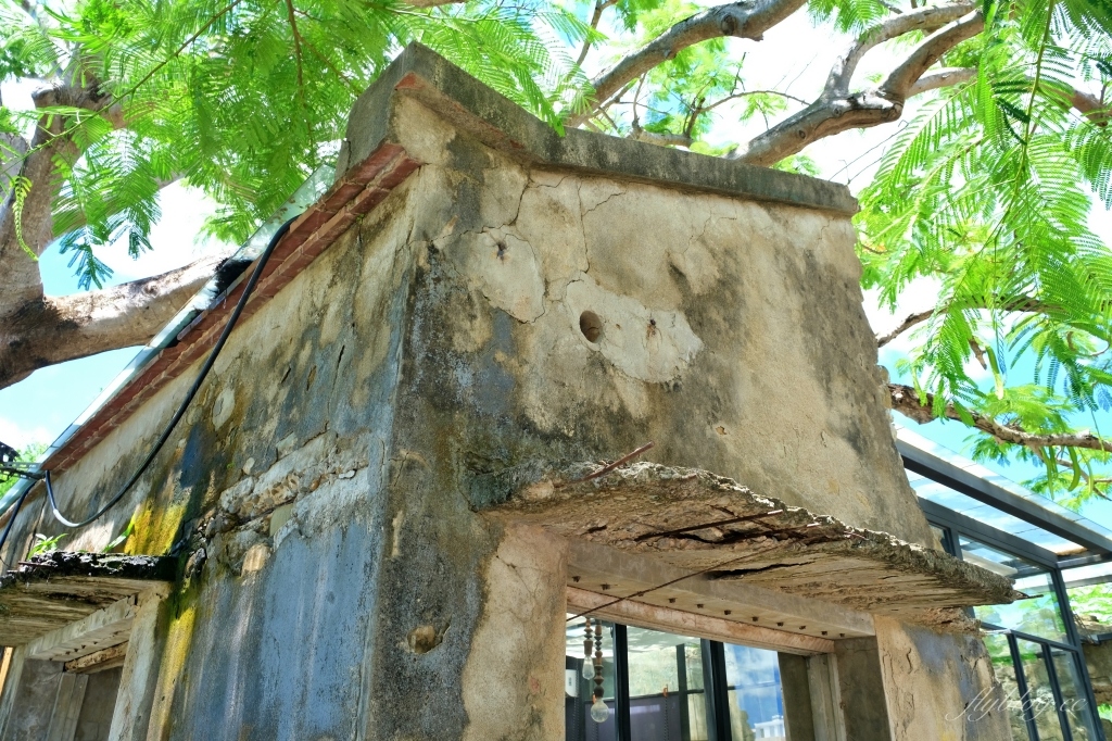 屏東恆春｜樹夏飲事，老鳳凰樹下的廢墟改建咖啡館，Big 7 Travel選為台灣最棒25間咖啡廳之一 @飛天璇的口袋