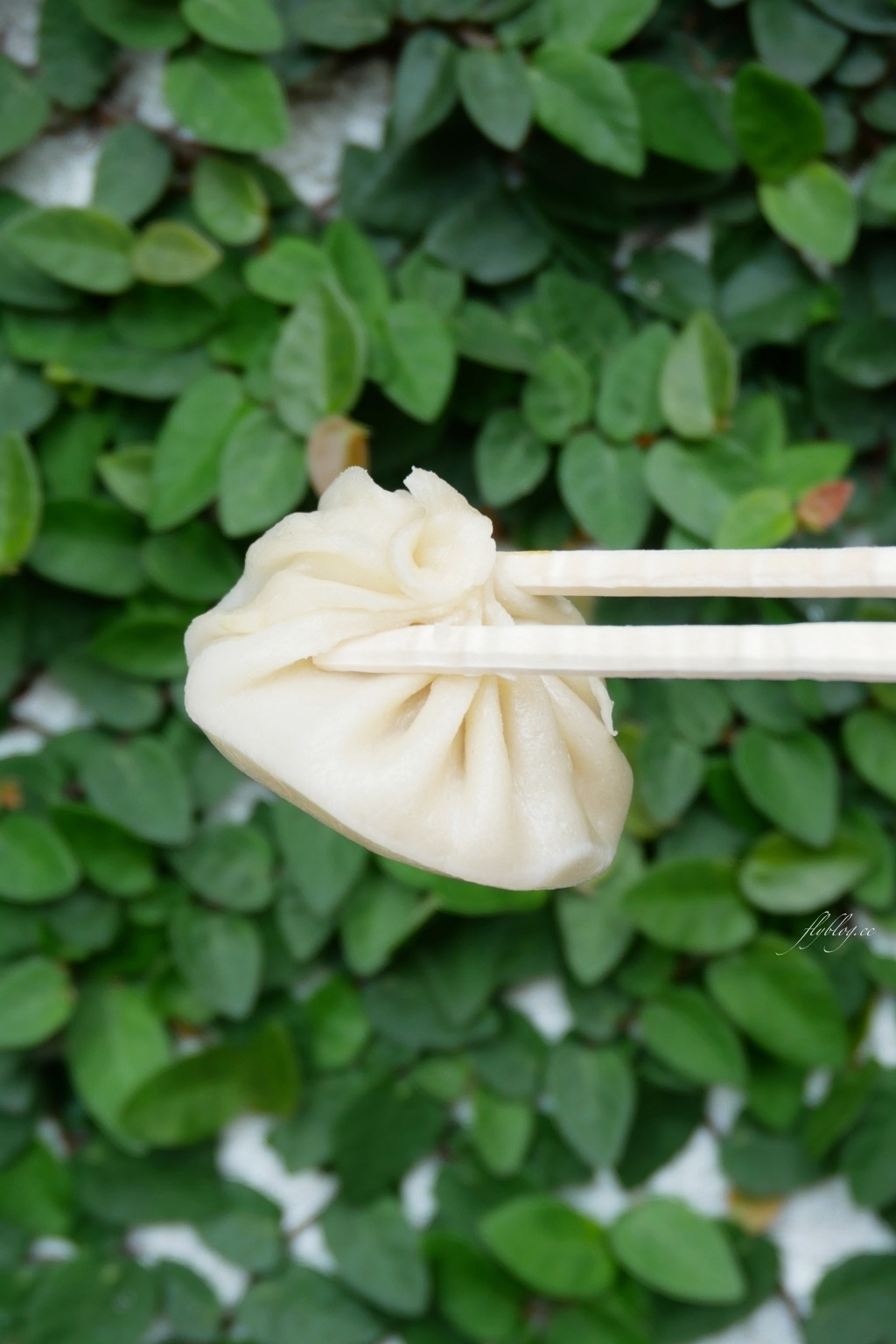 台中豐原｜豐原鮮湯包，在地飄香20年田心路超人氣湯包，自家門口湯包每天只賣四小時 @飛天璇的口袋