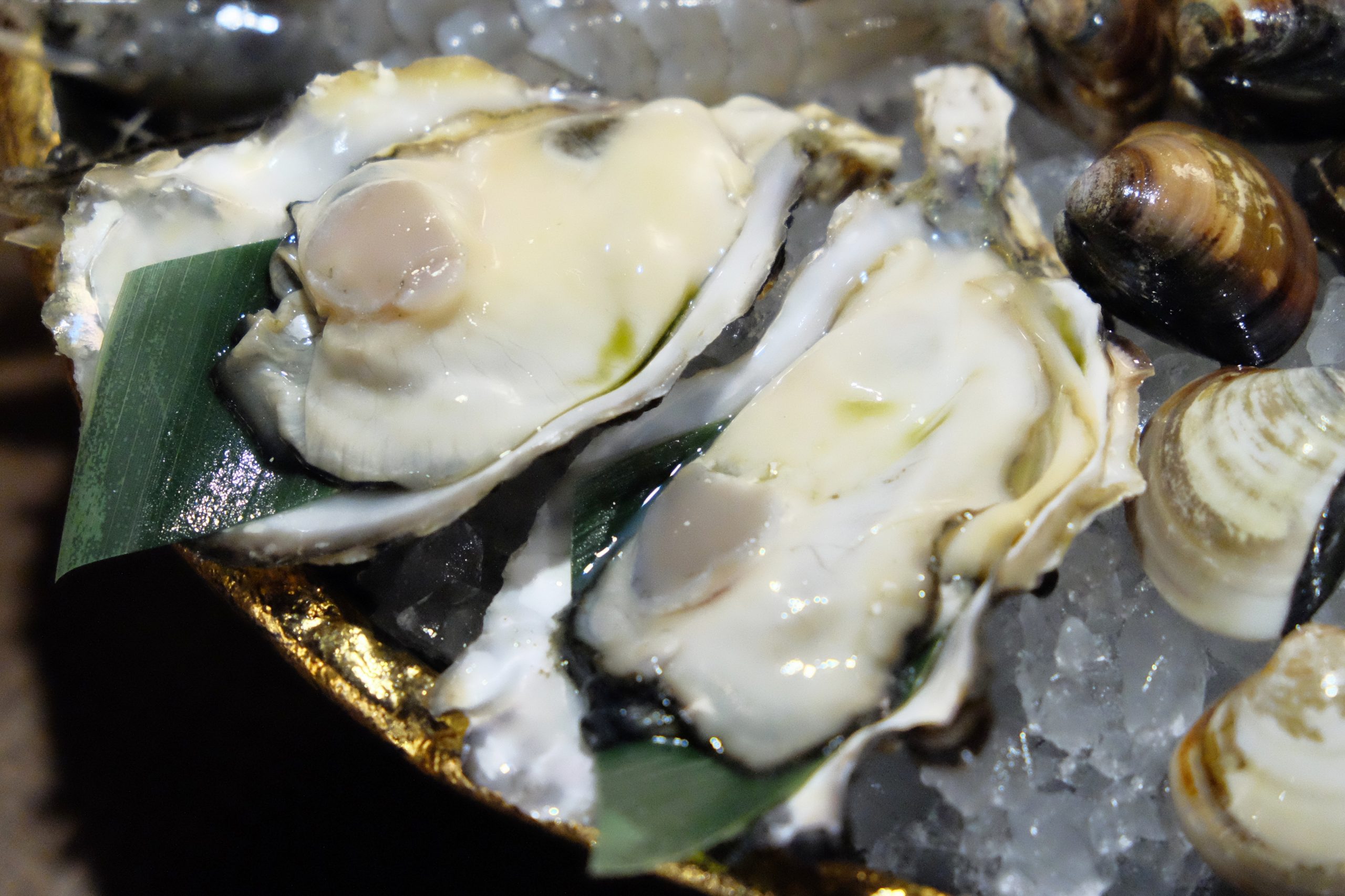 永樂饌：隱藏版相撲丼飯888元買一送一，新開幕日式概念海鮮料理 @飛天璇的口袋