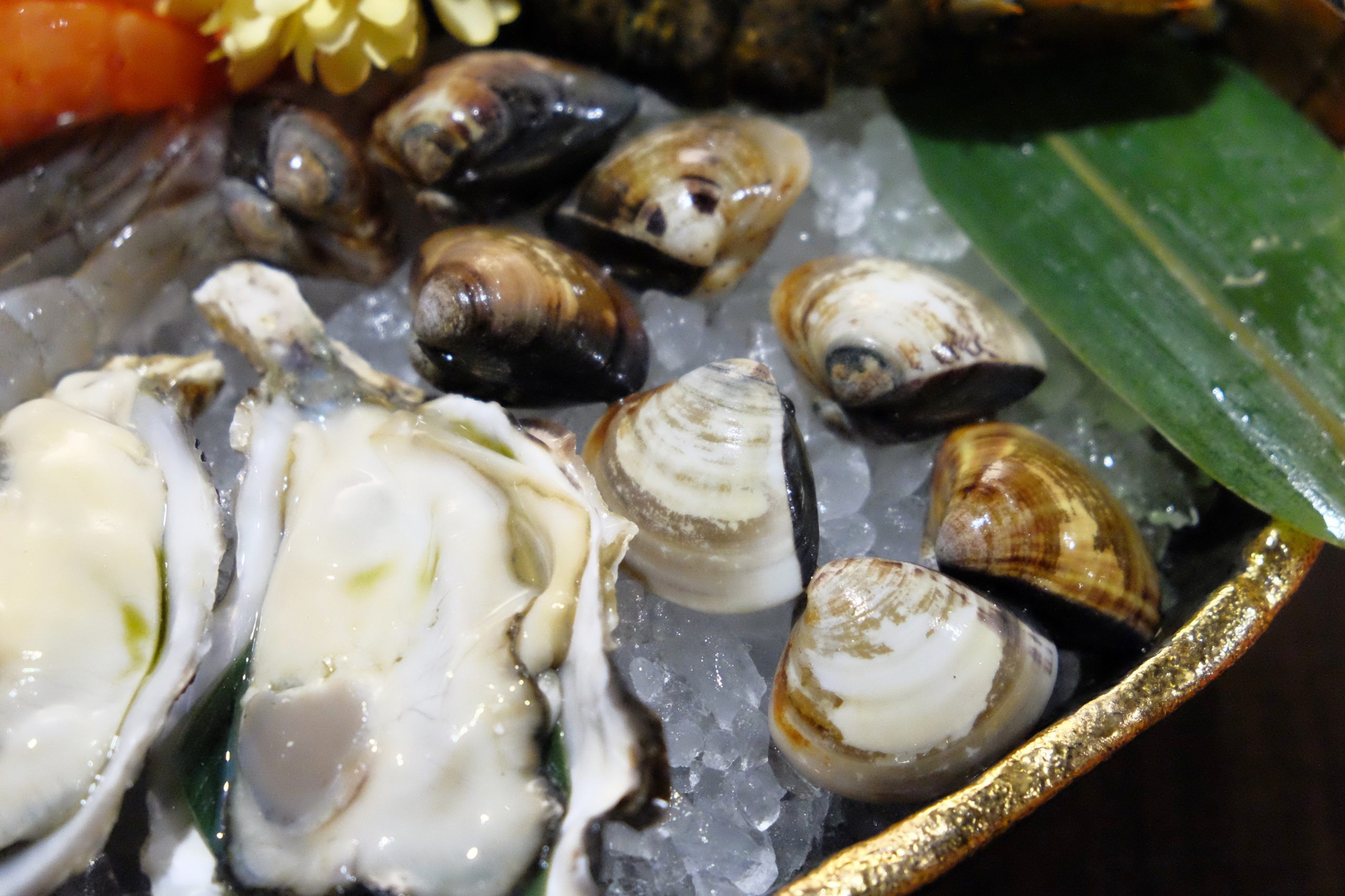 永樂饌：隱藏版相撲丼飯888元買一送一，新開幕日式概念海鮮料理 @飛天璇的口袋