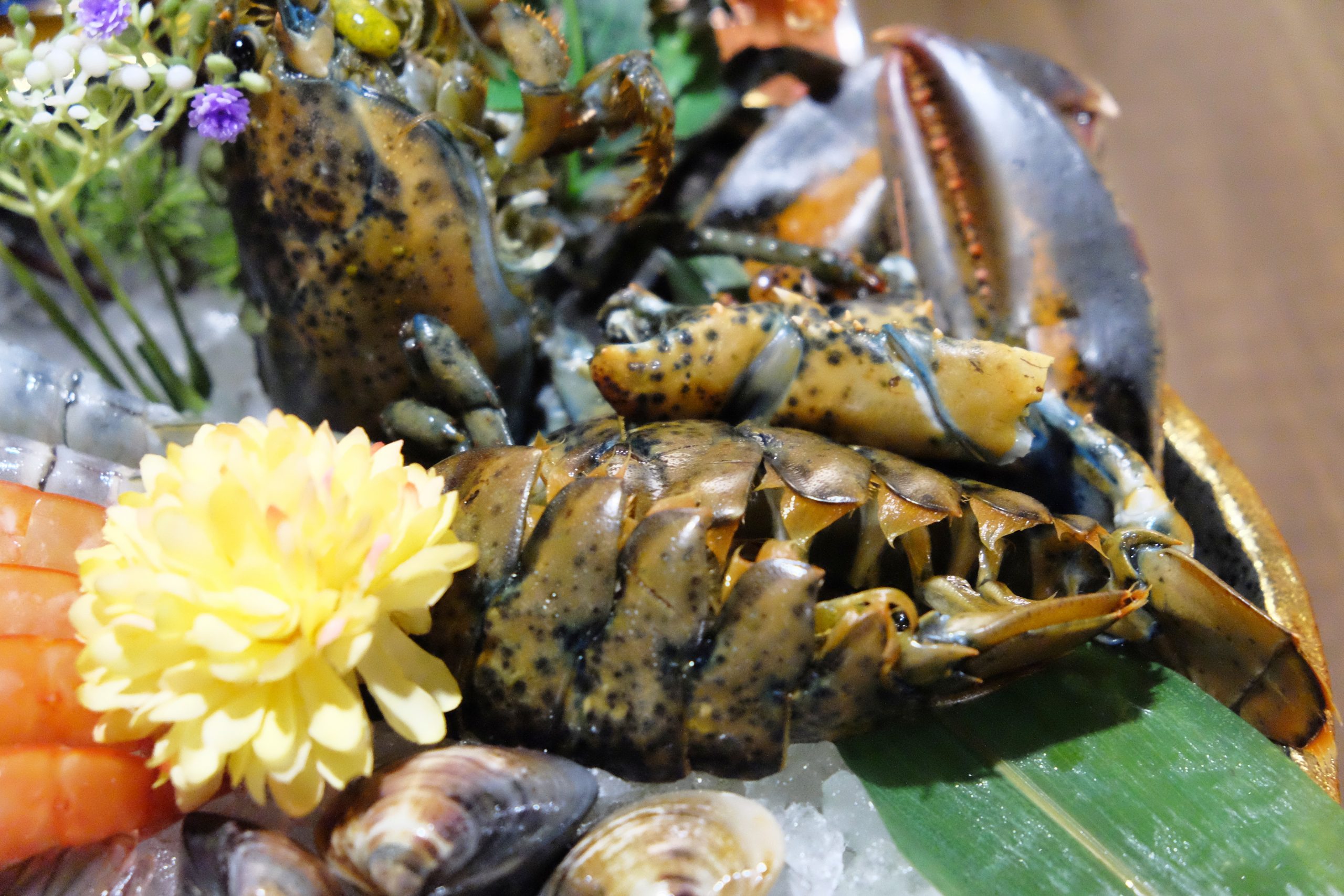 永樂饌：隱藏版相撲丼飯888元買一送一，新開幕日式概念海鮮料理 @飛天璇的口袋