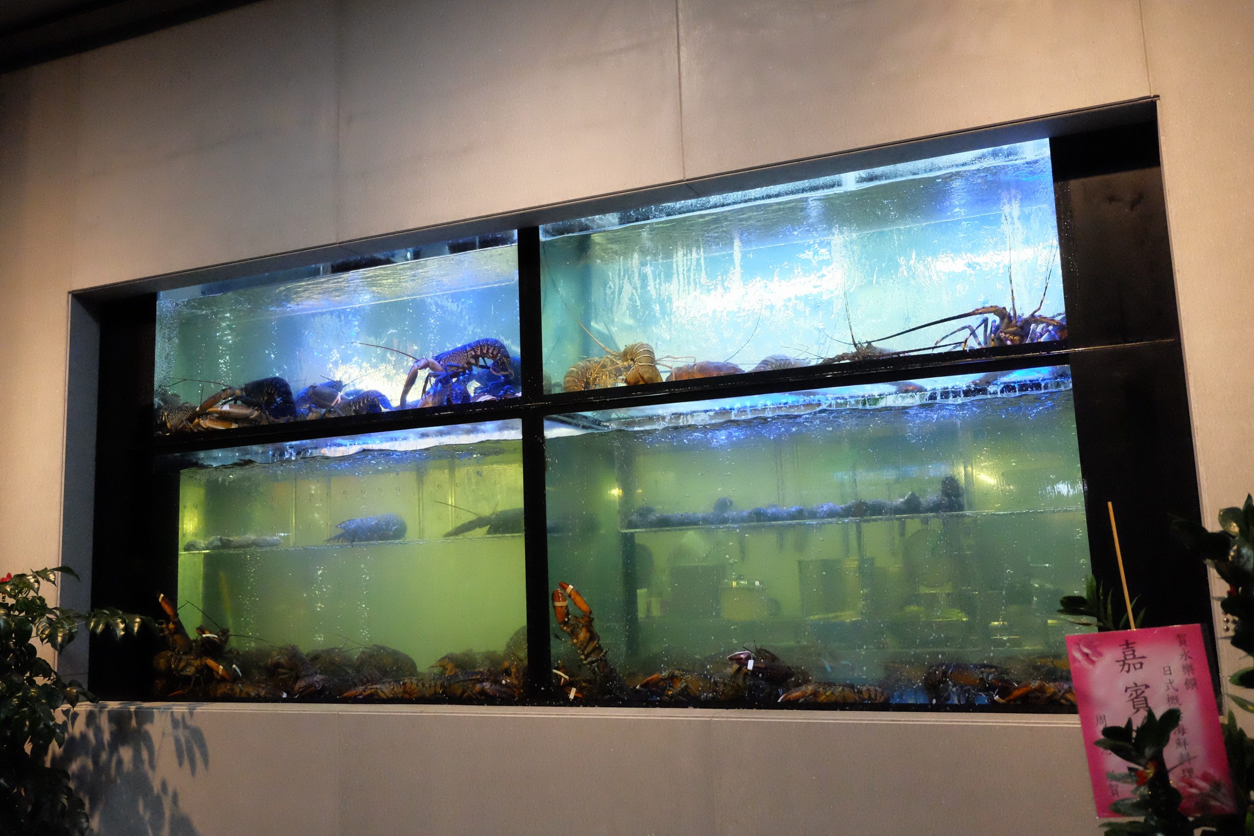 永樂饌:隱藏版相撲丼飯888元買一送一,新開幕日式概念海鮮料理 @飛天璇的口袋 永樂饌:隱藏版相撲丼飯888元買一送一,新開幕日式概念海鮮料理 @飛天璇的口袋