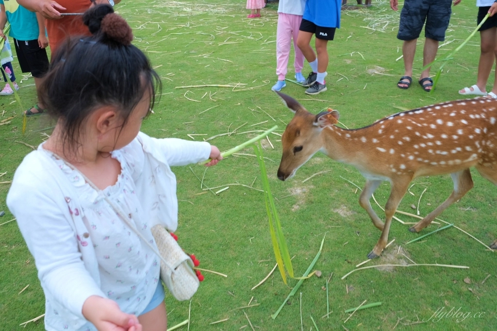墾丁行程規劃懶人包|墾丁3天2夜這樣玩!南台灣夏日踏浪戲水最佳旅遊景點 @飛天璇的口袋 墾丁行程規劃懶人包|墾丁3天2夜這樣玩!南台灣夏日踏浪戲水最佳旅遊景點 @飛天璇的口袋