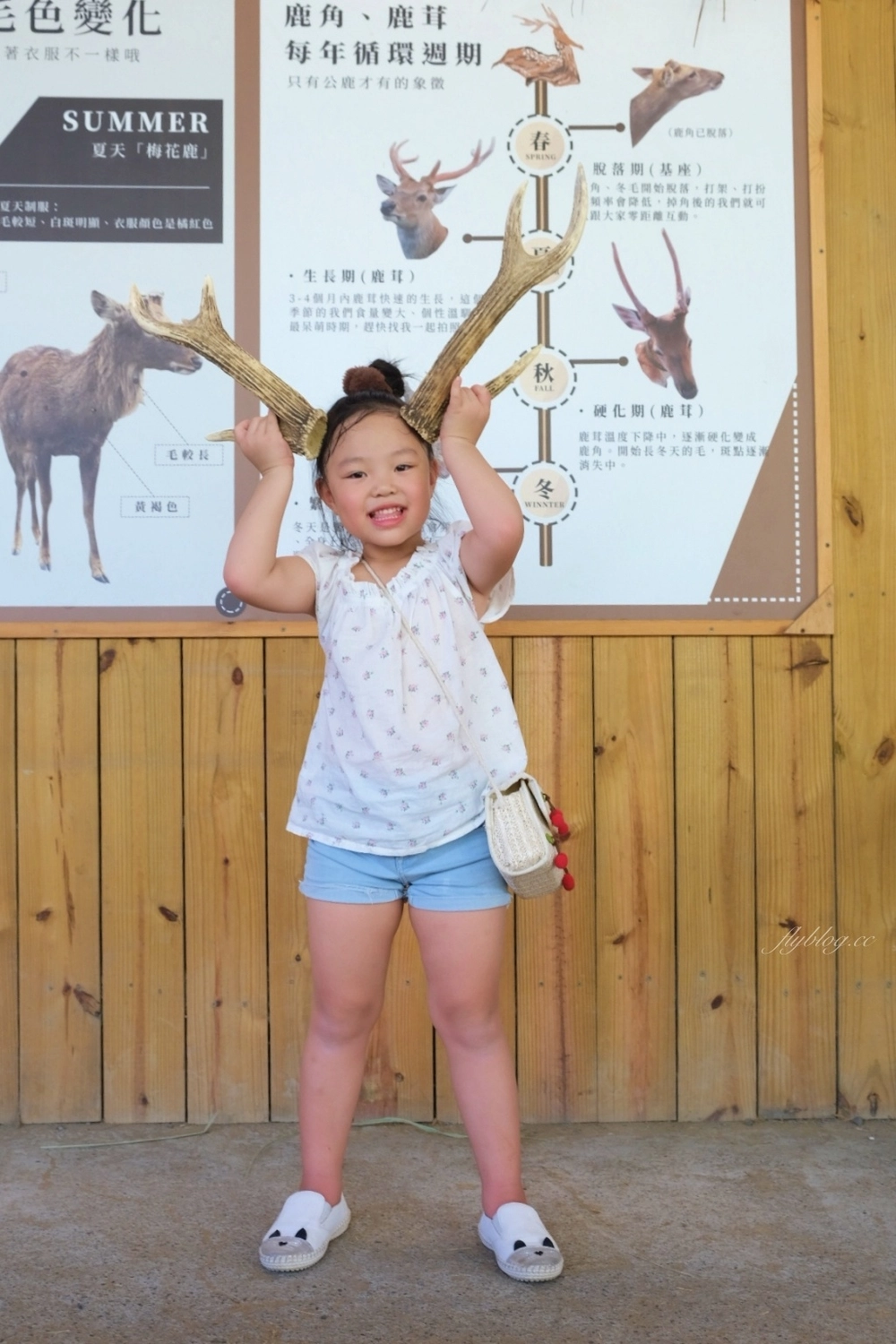 墾丁行程規劃懶人包|墾丁3天2夜這樣玩!南台灣夏日踏浪戲水最佳旅遊景點 @飛天璇的口袋 墾丁行程規劃懶人包|墾丁3天2夜這樣玩!南台灣夏日踏浪戲水最佳旅遊景點 @飛天璇的口袋