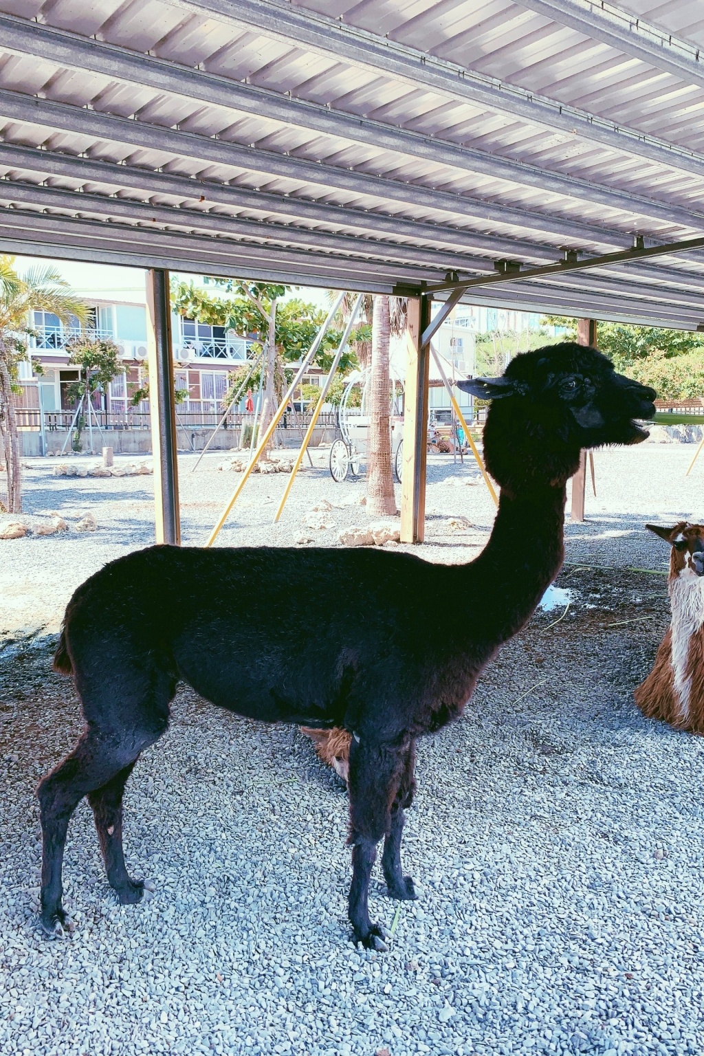 墾丁行程規劃懶人包|墾丁3天2夜這樣玩!南台灣夏日踏浪戲水最佳旅遊景點 @飛天璇的口袋 墾丁行程規劃懶人包|墾丁3天2夜這樣玩!南台灣夏日踏浪戲水最佳旅遊景點 @飛天璇的口袋
