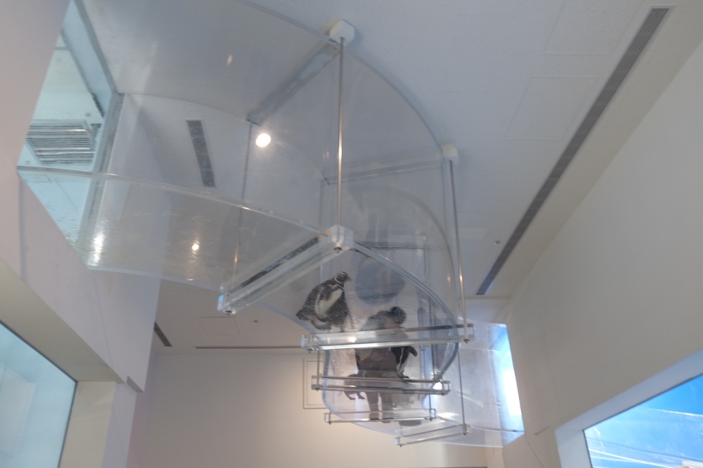 桃園中壢|Xpark.來自日本八景島的水族館,票價、交通、環境、必拍一次看 @飛天璇的口袋 桃園中壢|Xpark.來自日本八景島的水族館,票價、交通、環境、必拍一次看 @飛天璇的口袋