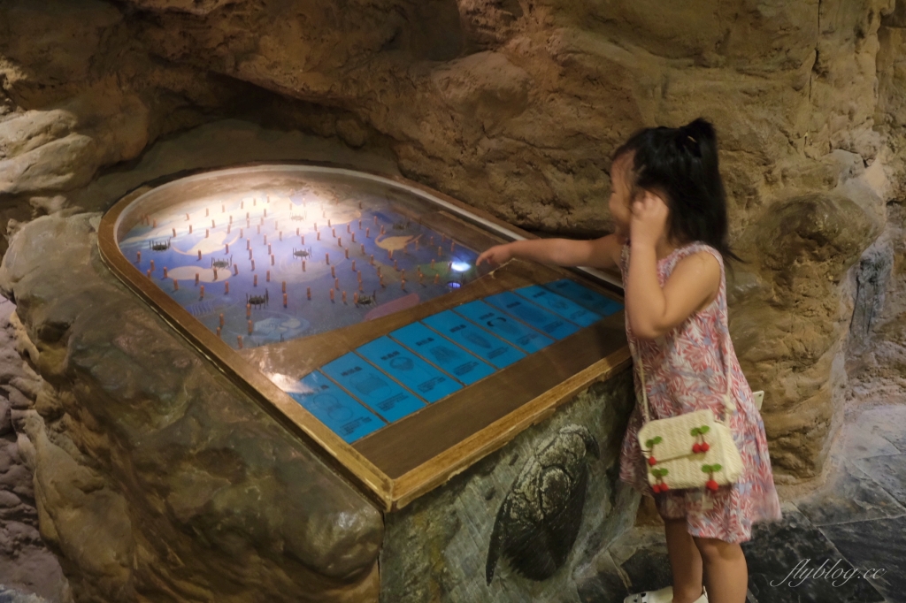 墾丁行程規劃懶人包|墾丁3天2夜這樣玩!南台灣夏日踏浪戲水最佳旅遊景點 @飛天璇的口袋 墾丁行程規劃懶人包|墾丁3天2夜這樣玩!南台灣夏日踏浪戲水最佳旅遊景點 @飛天璇的口袋