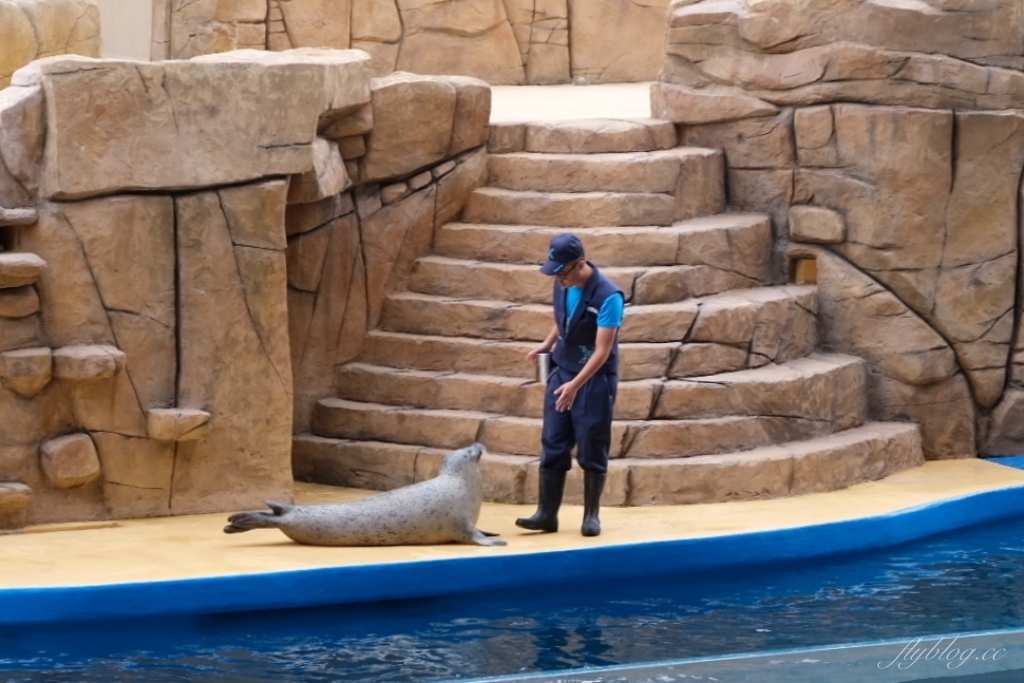 桃園中壢|Xpark.來自日本八景島的水族館,票價、交通、環境、必拍一次看 @飛天璇的口袋 桃園中壢|Xpark.來自日本八景島的水族館,票價、交通、環境、必拍一次看 @飛天璇的口袋