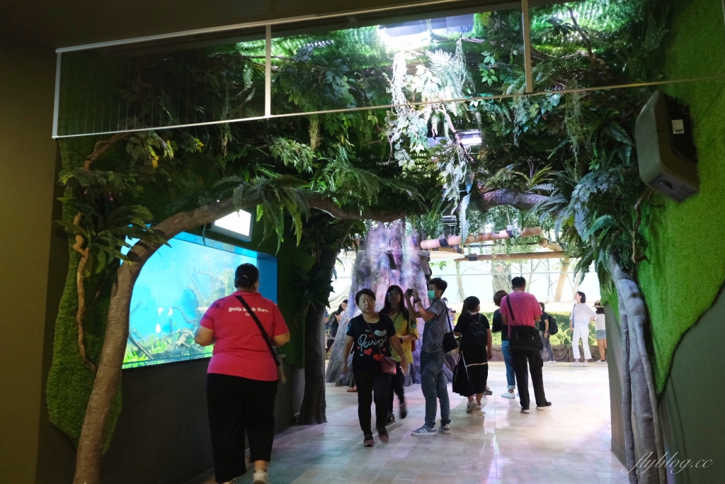 【夜宿Xpark】COZZI Blu 和逸飯店桃園館.夜宿Xpark海生館一泊四食,宿海奇遇星級海洋系眠旅 @飛天璇的口袋 【夜宿Xpark】COZZI Blu 和逸飯店桃園館.夜宿Xpark海生館一泊四食,宿海奇遇星級海洋系眠旅 @飛天璇的口袋