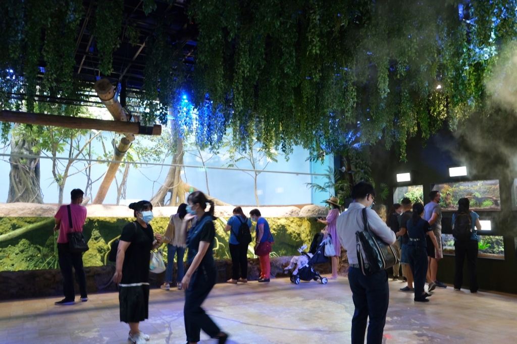 桃園中壢|Xpark.來自日本八景島的水族館,票價、交通、環境、必拍一次看 @飛天璇的口袋 桃園中壢|Xpark.來自日本八景島的水族館,票價、交通、環境、必拍一次看 @飛天璇的口袋