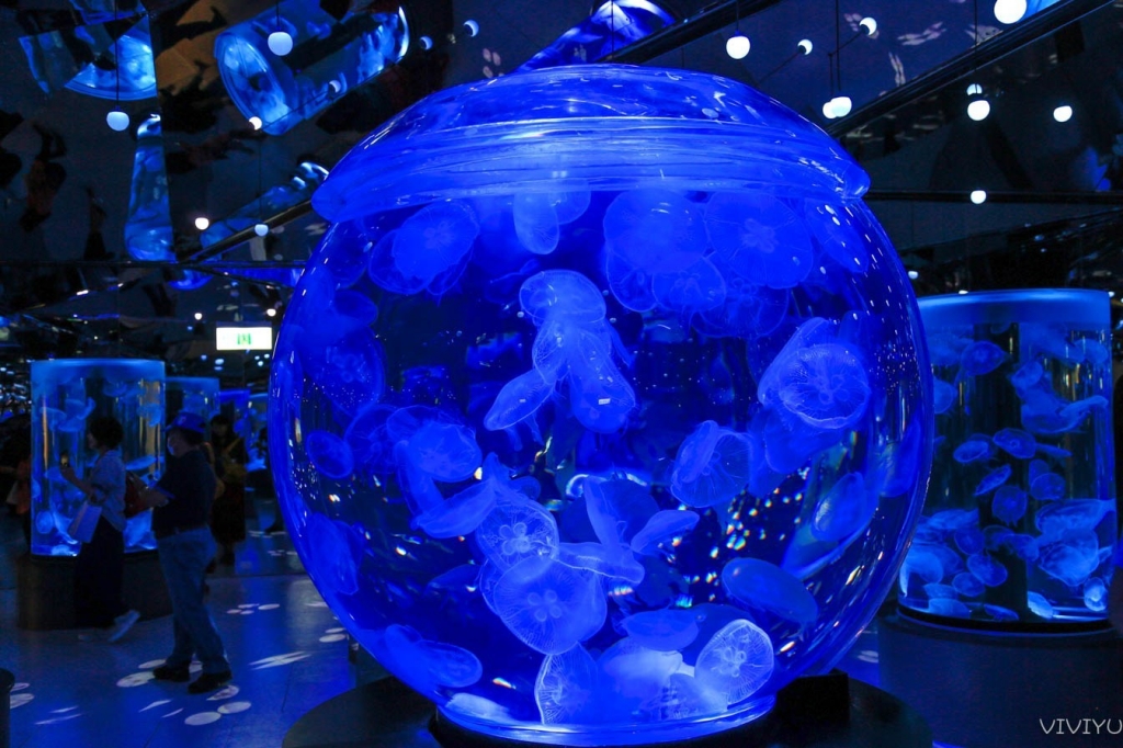 桃園中壢|Xpark.來自日本八景島的水族館,票價、交通、環境、必拍一次看 @飛天璇的口袋 桃園中壢|Xpark.來自日本八景島的水族館,票價、交通、環境、必拍一次看 @飛天璇的口袋