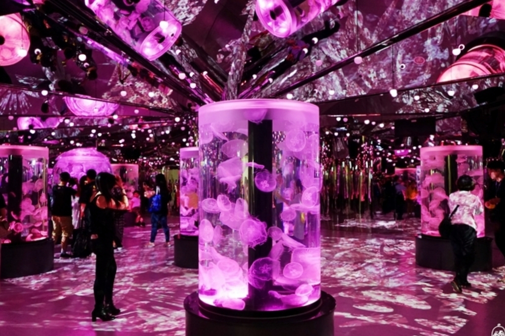 桃園中壢|Xpark.來自日本八景島的水族館,票價、交通、環境、必拍一次看 @飛天璇的口袋 桃園中壢|Xpark.來自日本八景島的水族館,票價、交通、環境、必拍一次看 @飛天璇的口袋